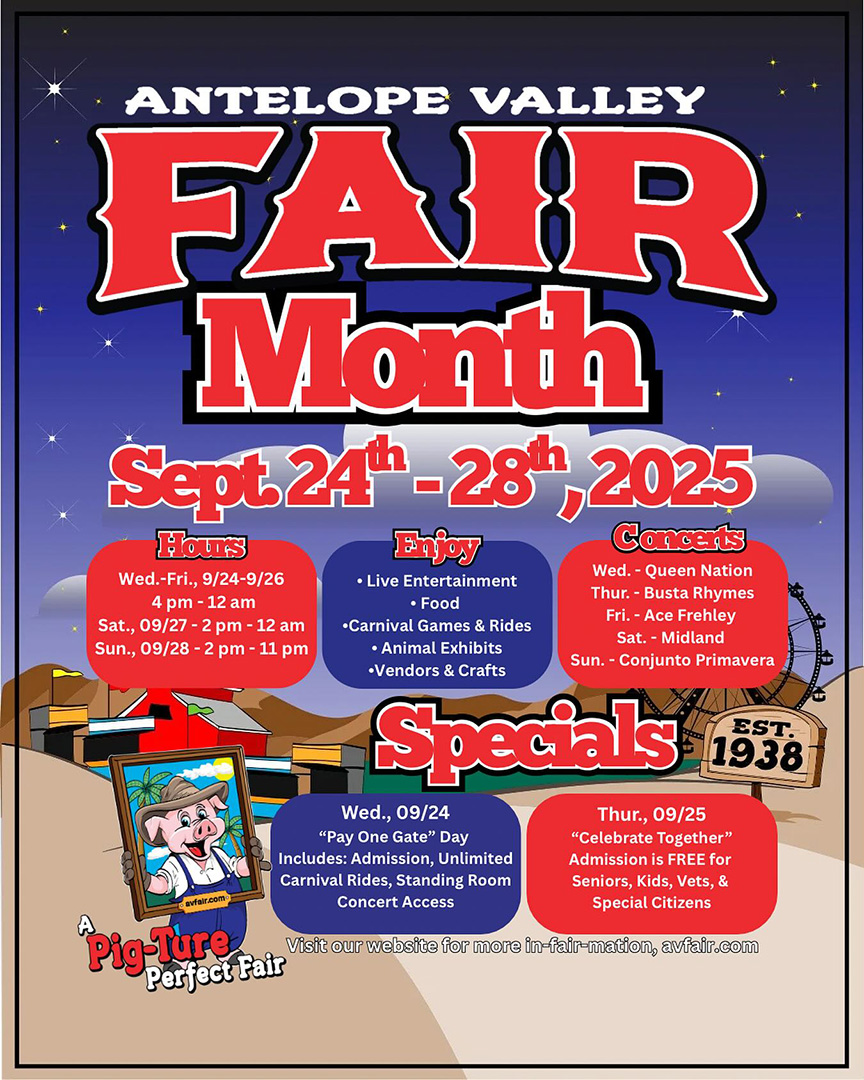 AV Fair Live Broadcast